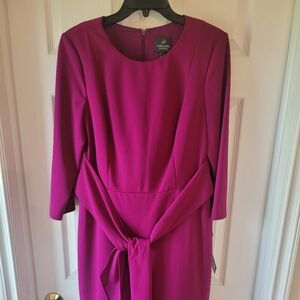 Adrianna Papell Fuchsia Long Sleeve Dress